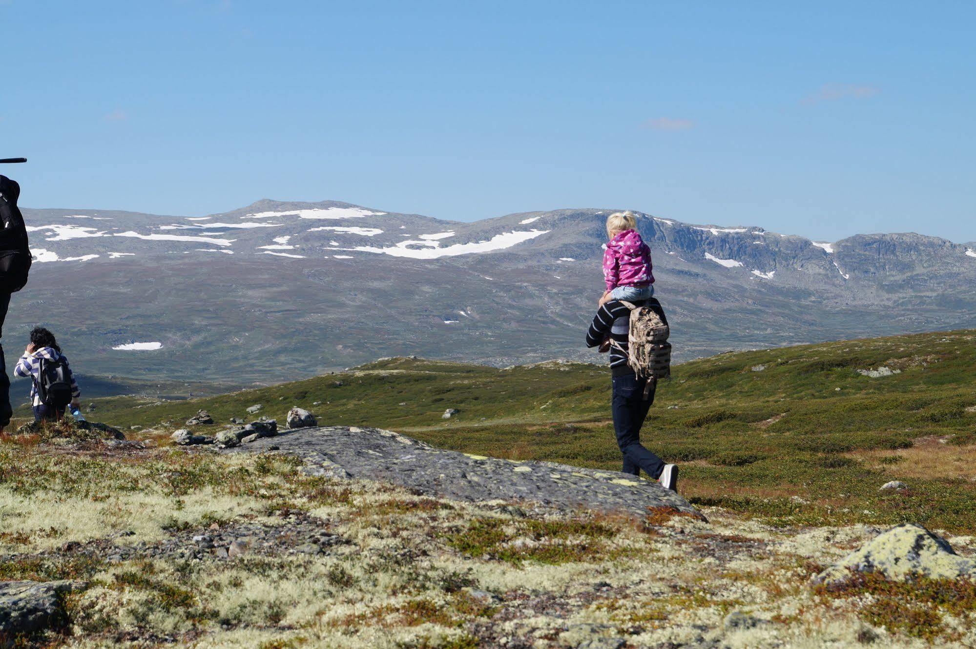 Liatoppen Fjellhotell Al Εξωτερικό φωτογραφία