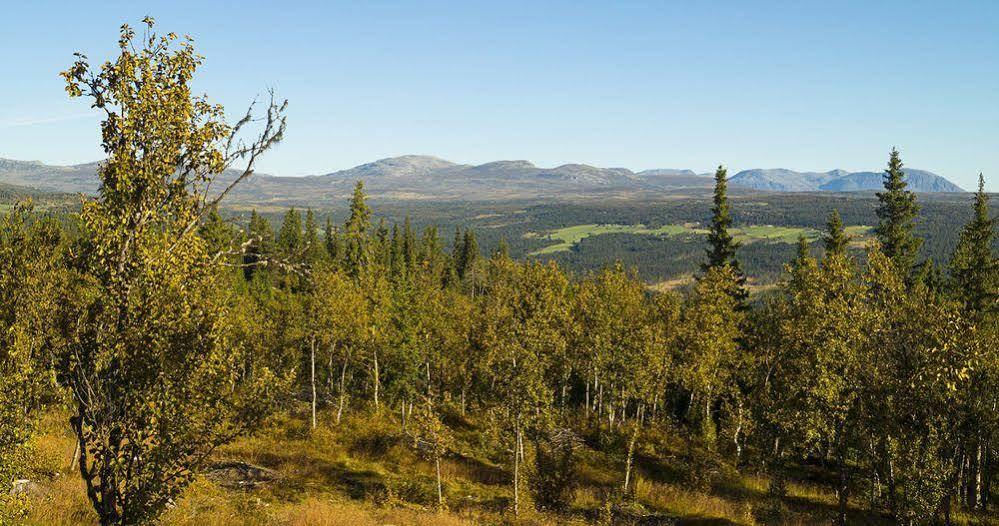 Liatoppen Fjellhotell Al Εξωτερικό φωτογραφία